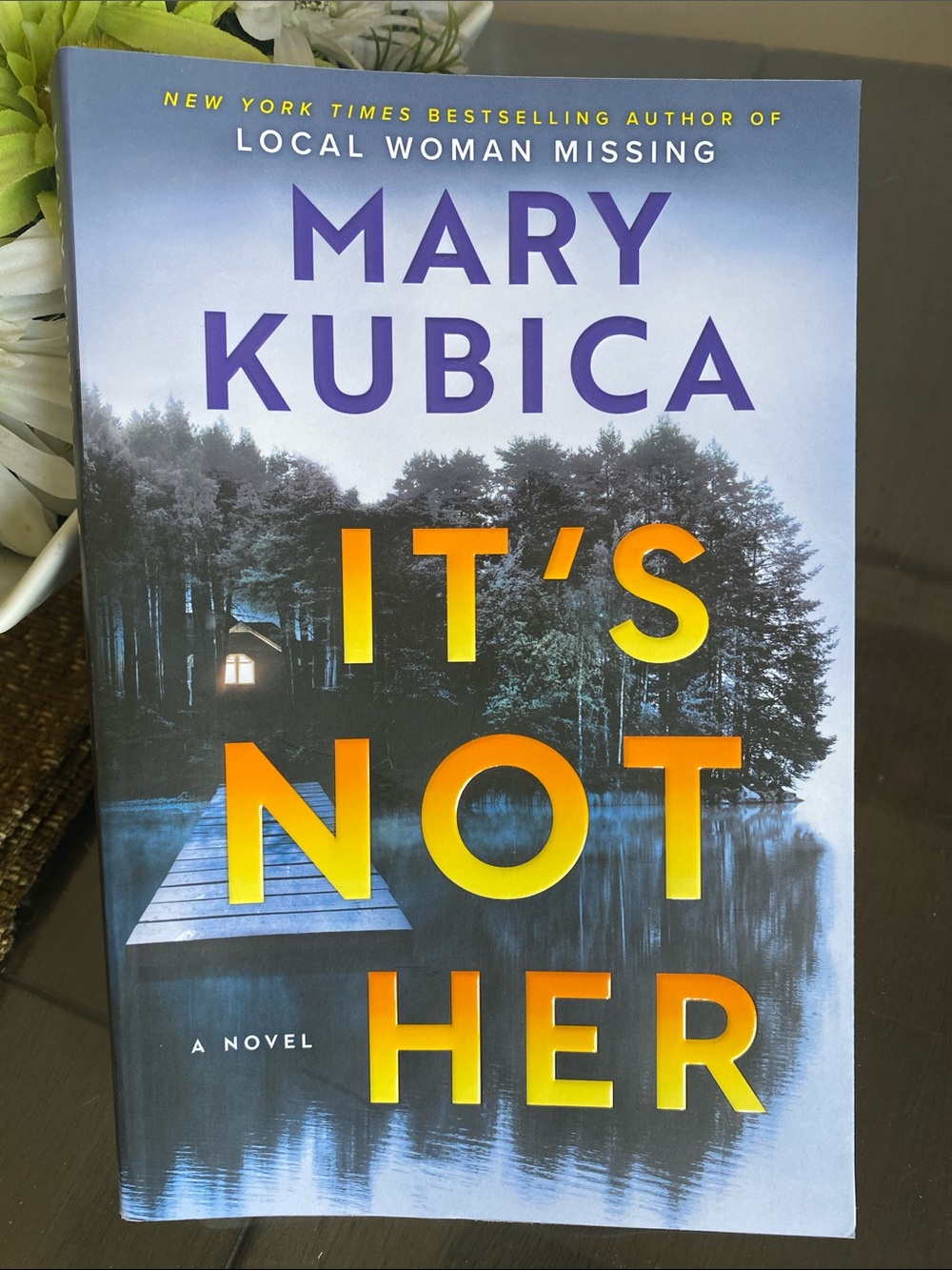 Mary Kubica Book It’s Not Her Novel fiction thriller